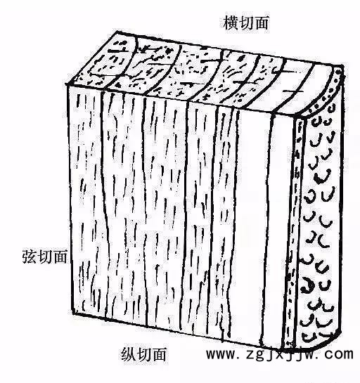 木材的濕脹與干縮