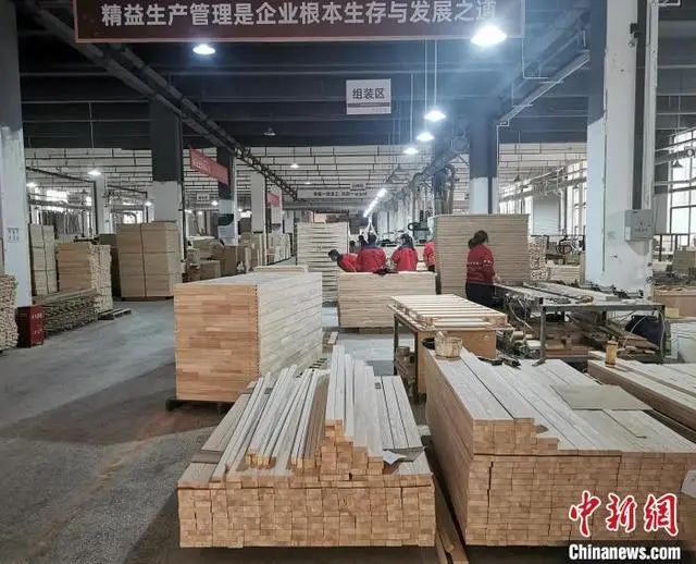 倉庫內擺放整齊的原木木料。