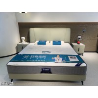 致喜皇朝軟體家具，江西南康現代休閑軟體床、時尚輕奢軟體沙發，佛山致喜家具廠家